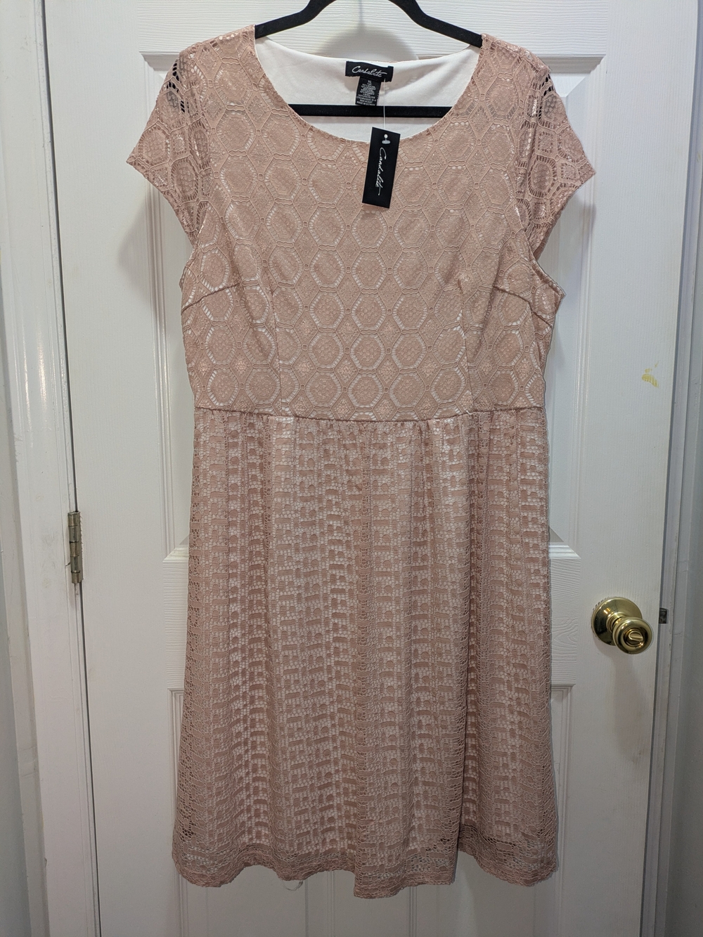 Blush Lace Fit & Flare Dress